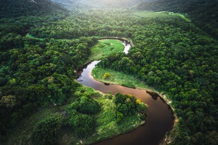 COP26 and the race to decarbonise