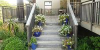 Pots of Pondo Trailing Jade brighten up a staircase to a family home. Image: Elsa Pooley