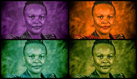MPs fume as Mkhwebane requests late postponement of meeting
