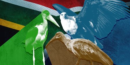 South Africa’s future: Three economic scenarios explored
