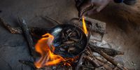 BULAWAYO, ZIMBABWE - APRIL 07: A man cooks the Mopane Worms using firewood at his homestead on April 7, 2021 in Bulawayo, Zimbabwe. According to figures released by Zimstats, Zimbabwe's severe food insecurity levels rose to 27% during the Covid-19 pandemic and the proportion of households facing moderate insecurity increased from 42 to 72 % during this period. In rural Kezi people are coming from all walks of life to harvest the Mopane Worm as an alternative source ofprotein. The worm is actually the large caterpillar of the Emperor Moth (Gonimbrasia Belina) species. It feeds on the leaves of mopane trees after it hatches in summer and is only found in southern African countries. Currently, there is an unprecedented rush for the worms as high meat prices force consumers to look for alternative to meat. (Photo by Tafadzwa Ufumeli/Getty Images)