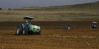 Farmers ploughing  fields outside Harrismith in the free state .Photo:Felix Dlangamandla/Daily Maverick
