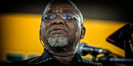 We didn’t mean to pressurise the banks – Gwede Mantashe
