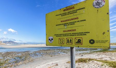 UN report on antimicrobial resistance in the environment sparks warnings of ‘slow disaster’ by local scientists