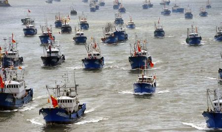 Concerns raised after China offers to fast-track SA fishing harbour plans