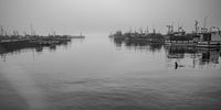 An unclear outlook! A foggy morning in Kalk bay Harbour on Election Day. Photographer: Martin Fennell