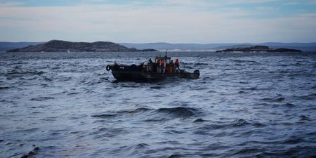 Environmental group demands end to ship-to-ship bunkering in Algoa Bay after toxic oil spills