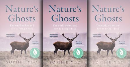 The spectre of the Anthropocene haunts an insightful journey into our wild past