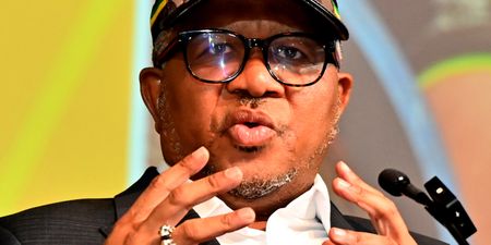 Mbalula warns Western Cape ANC: ‘You are fighting for nothing and yet the power is gone’ 