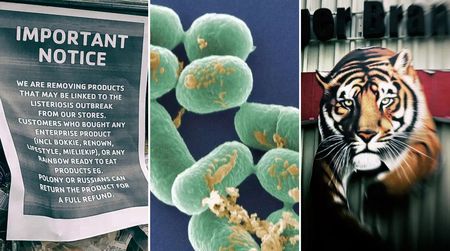 ‘I wouldn’t wish for anyone to experience this’ — the listeriosis outbreak and a mother’s heartbreak