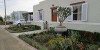 Though townhouse complexes often have limited space, this example of a small succulent garden in Prince Albert in the Western Cape features potted Wild Olives, along with finger aloes, vygies and gazanias.  Image Sue Milton-Dean