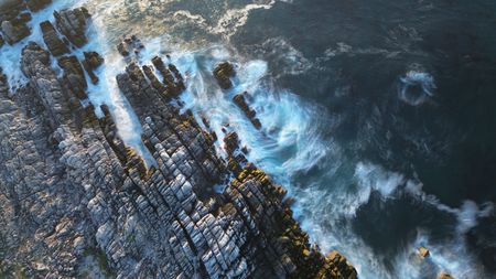 I have a picture for you! 29 March-04 April 2025