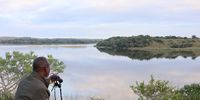 Rodolfo Cumbane searches for animals from the edge of a lake within Maputo National Park. (Photo: Keith Bain)