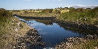 Remenants of a sewage spill at Rondevlei Nature Reserve on the Cape Flats in Cape Town, South Africa on 22 March 2022. (Photo: Daily Maverick/ Victoria O’Regan)