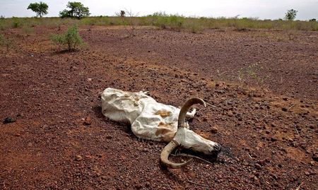 ISS Today: Climate change and conflict – how Mali can grow more resilient