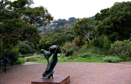 Here’s how to take Kirstenbosch to greatness