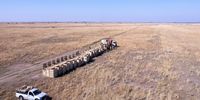 Transport crates ready to load rhino. (Photo: Michael Dexter)