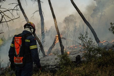 UN Says World Is Now on Course for Warming of Up to 3.1C
