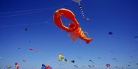 epa10016778 Kites in the air during the Fanoe International Kite Festival in Fanoe, an Island of the westcoast of Denmark, 16 June 2022.  EPA-EFE/Bo Amstrup DENMARK OUT