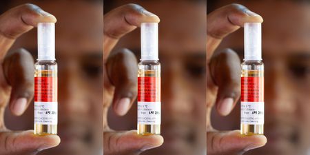 Snake antivenom mired by shortages and side effects – a new treatment could boost our options 