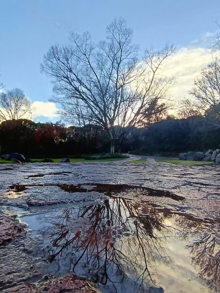What you said about Kirstenbosch