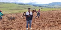 'Vukuzenzele'- Elalini Engcobo at a fee, the horse owner has revived the practice of food security in the village. Image: Ntombodidi Tshotsho