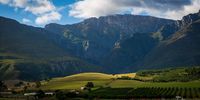 [Farmlands near Swellendam].Photographer: [Eugene Braack - www.eugeneb.co.za].