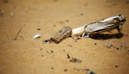 Climate change denialism? COPAC, affiliates, challenge the media