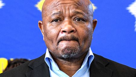 Police minister Mchunu highlights drop in crime amid ongoing challenges in Gauteng and KZN