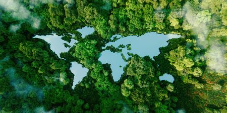 Why biodiversity is becoming a core economic and investment issue