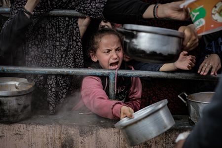 No aid supplies left, staff starves in Gaza, Norwegian Refugee Council says