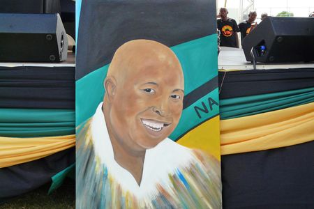 New court to decide if Malema has a potty mouth