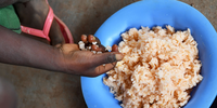 Children enjoy their lunch at their school in the village of Koroko Foumasa in central Côte d'Ivoire. (Photo: Frank Dejongh/UNICEF)