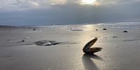 Wintery sun. Braunton beach UK. Photographer: Kate Cowling