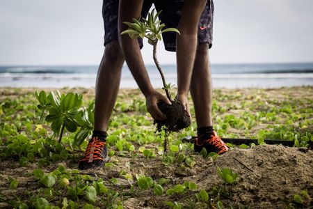 Mauritian activists and South African developers at loggerheads over development on island