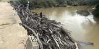 A bridge on the Tsitsa River, near the site of the proposed Ntabelanga Dam, has been damaged twice in the past decade. It was repaired after a 2017 flood washed one side of it away, but by 2023 another extreme event tore the same side away. Heavy timber from invasive alien trees carried down in a flood may have contributed to the damage. (Photo: Leonie Joubert)