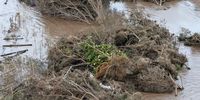 ‘My mind doesn’t want to do that maths’ — Kouga farmers count their losses