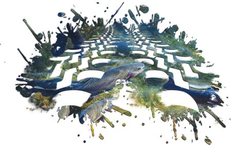 Our tyres are poisoning rivers and killing aquatic life, studies show