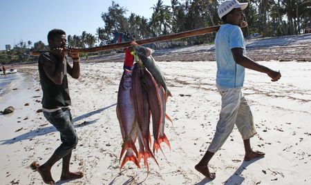 Kenya’s Coast: Devolution Disappointed