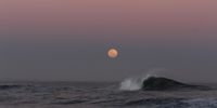 Last supermoon of 2024. Photographer: Sandy Jonker