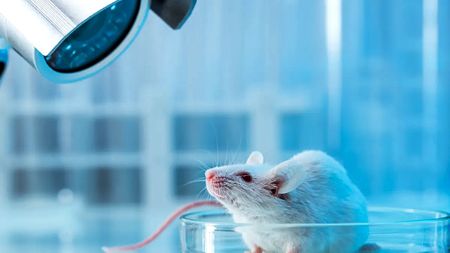 The algorithm will see you now: Why AI is the nail in the coffin for animal medical testing 