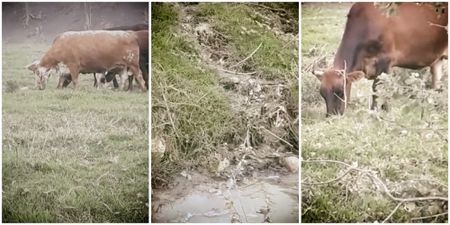 Makana Municipality’s sewage has been running into rivers and streams since 2014