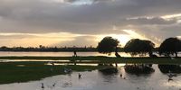 Zandvlei after the rain.