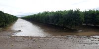Riaan - Patensie Flood Damage