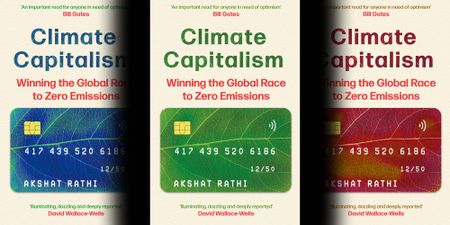 How markets are being used to save the planet