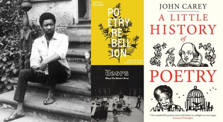 On reading poetry and quarrelling with myself