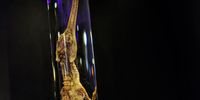 Two Centuries Here Exhibition Celebrates 200 Years Of UCL