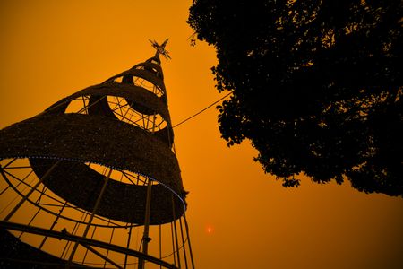 Sydney trims Christmas tree with bushfire debris in poignant reminder