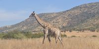 Loving the outdoors in South Africa Photographer: Eileen Camacho