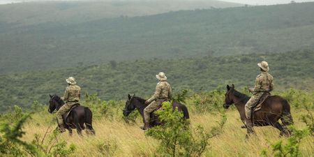Coal hunters encircle Africa’s first wilderness and rhino sanctuary